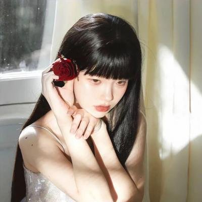 至上之法